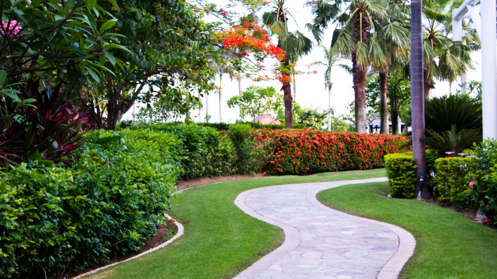 Landscape Design Ideas