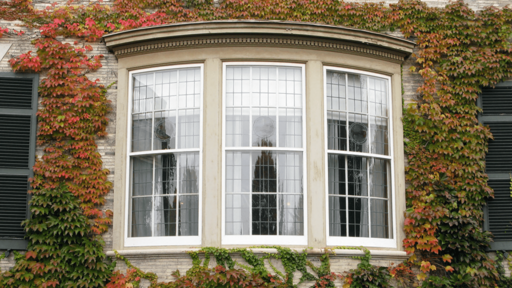 Bay Windows